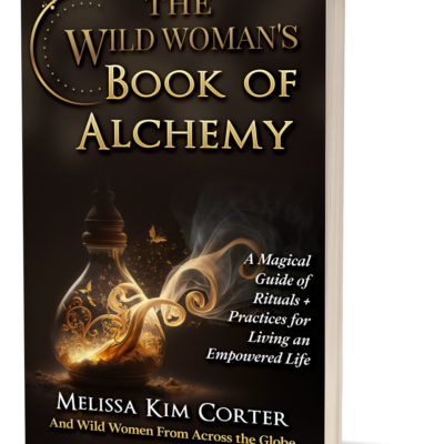 The Wild Woman's Book of Alchemy